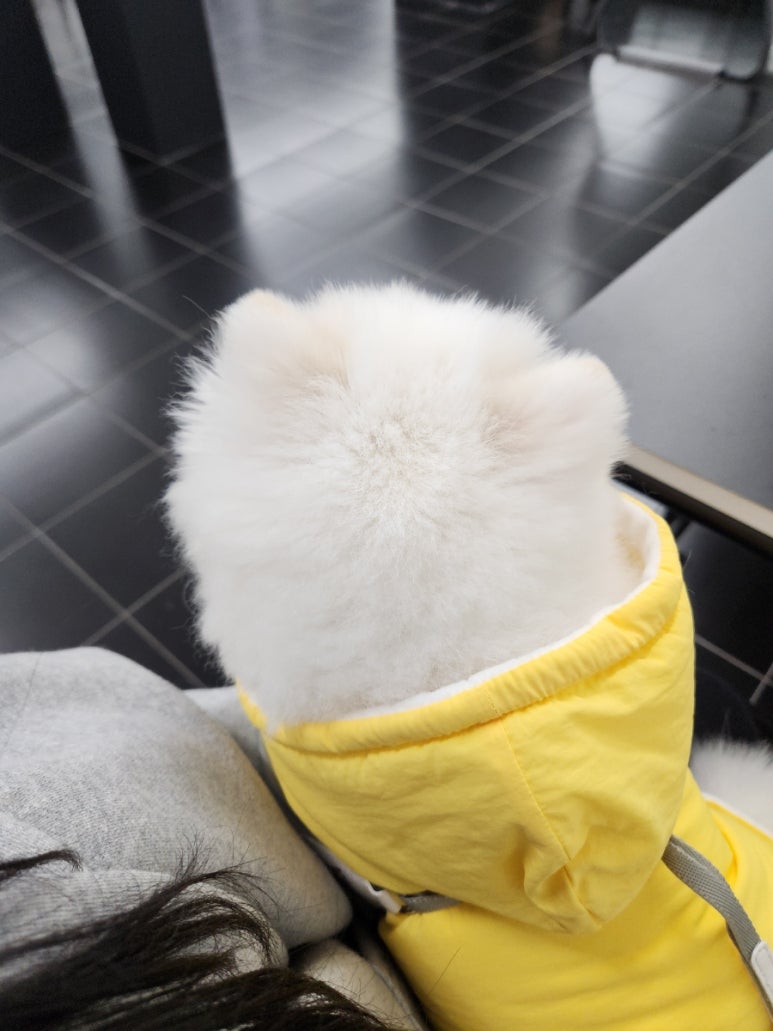 칸토천안 이미지