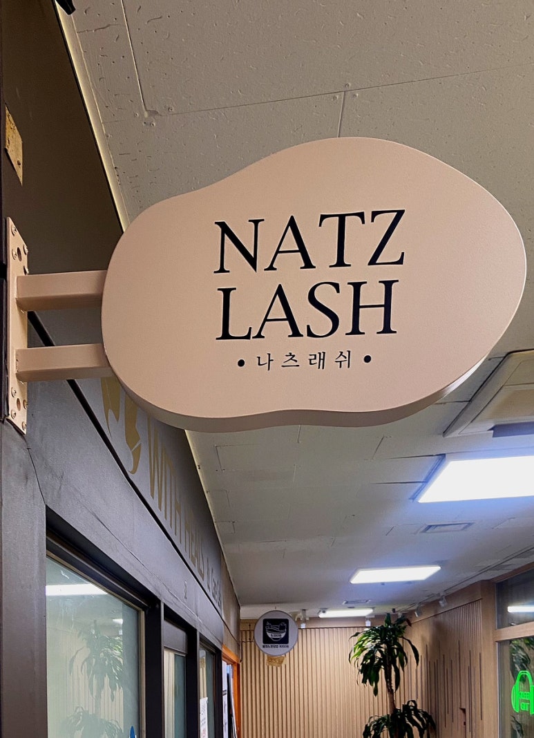나츠래쉬 이미지
