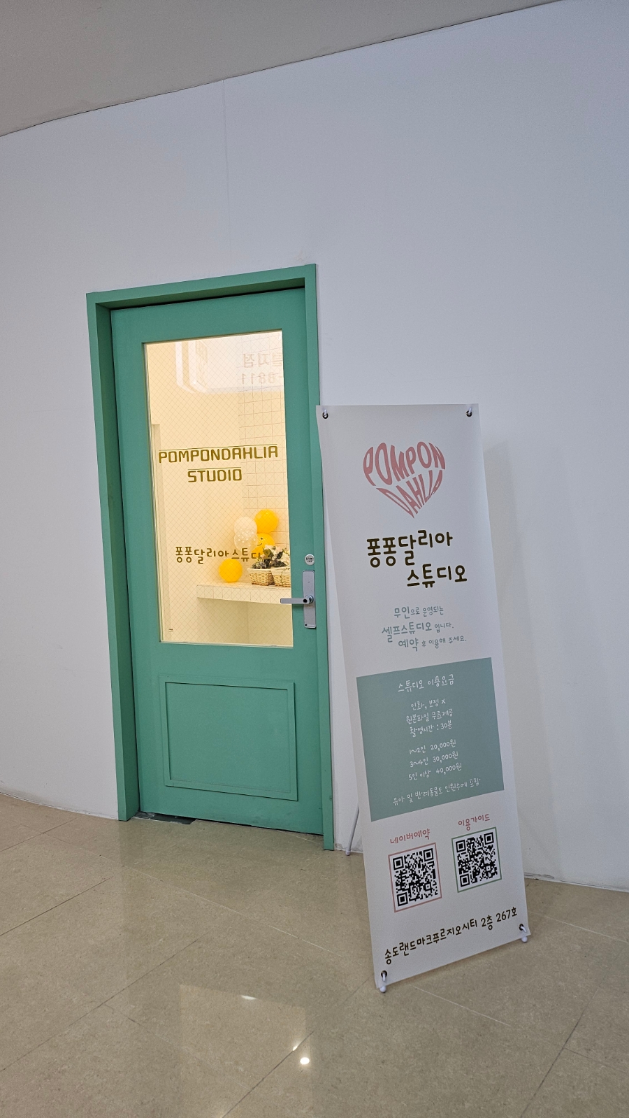 퐁퐁달리아 이미지