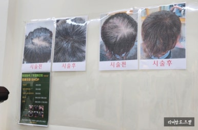 희망알씨 이미지