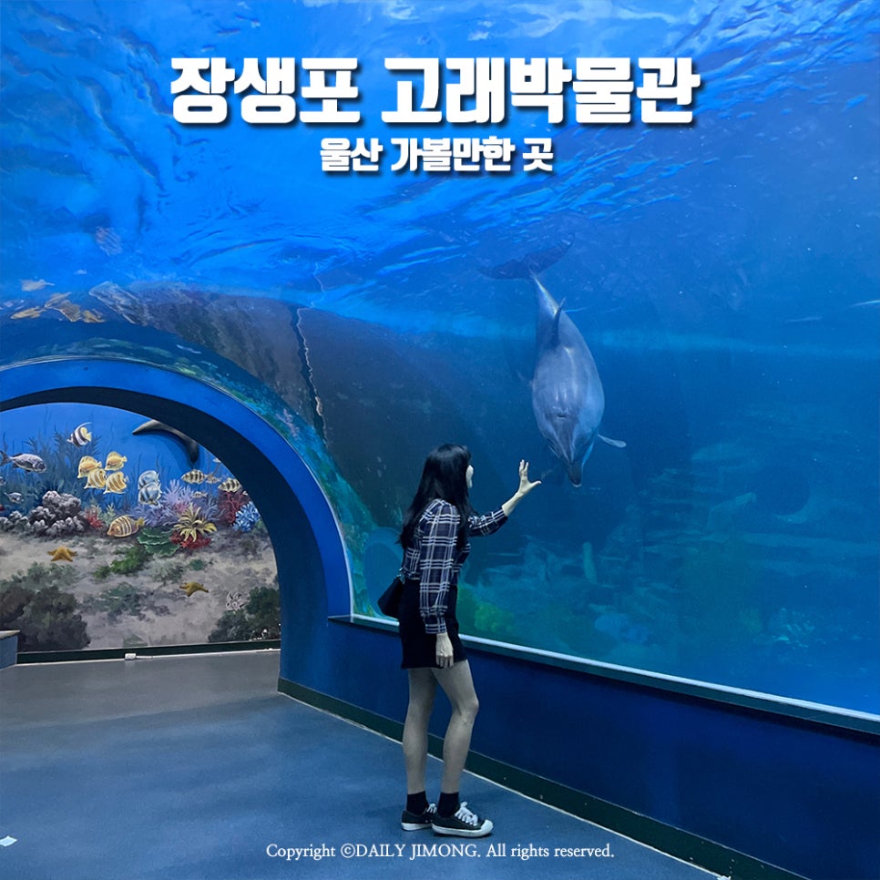 울산 가볼만한 곳 장생포 고래박물관 돌고래, 입장료, 주차장 : 네이버 블로그