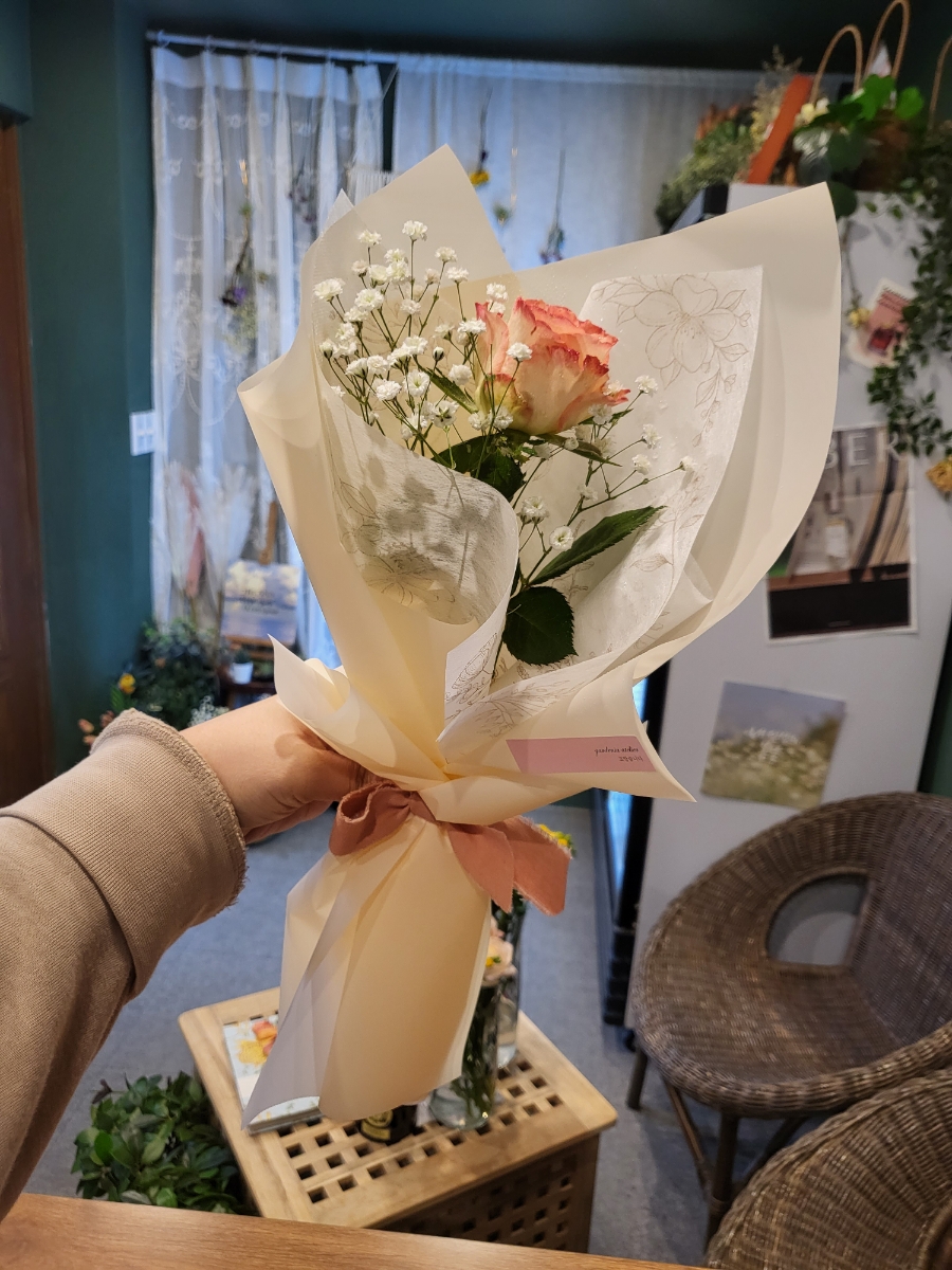 플로리포레 이미지