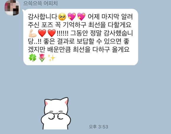 디아이엠 이미지