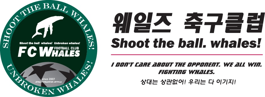 웨일즈에프씨 이미지