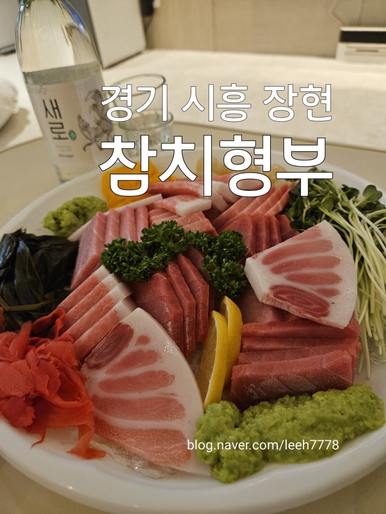 참치형부 이미지