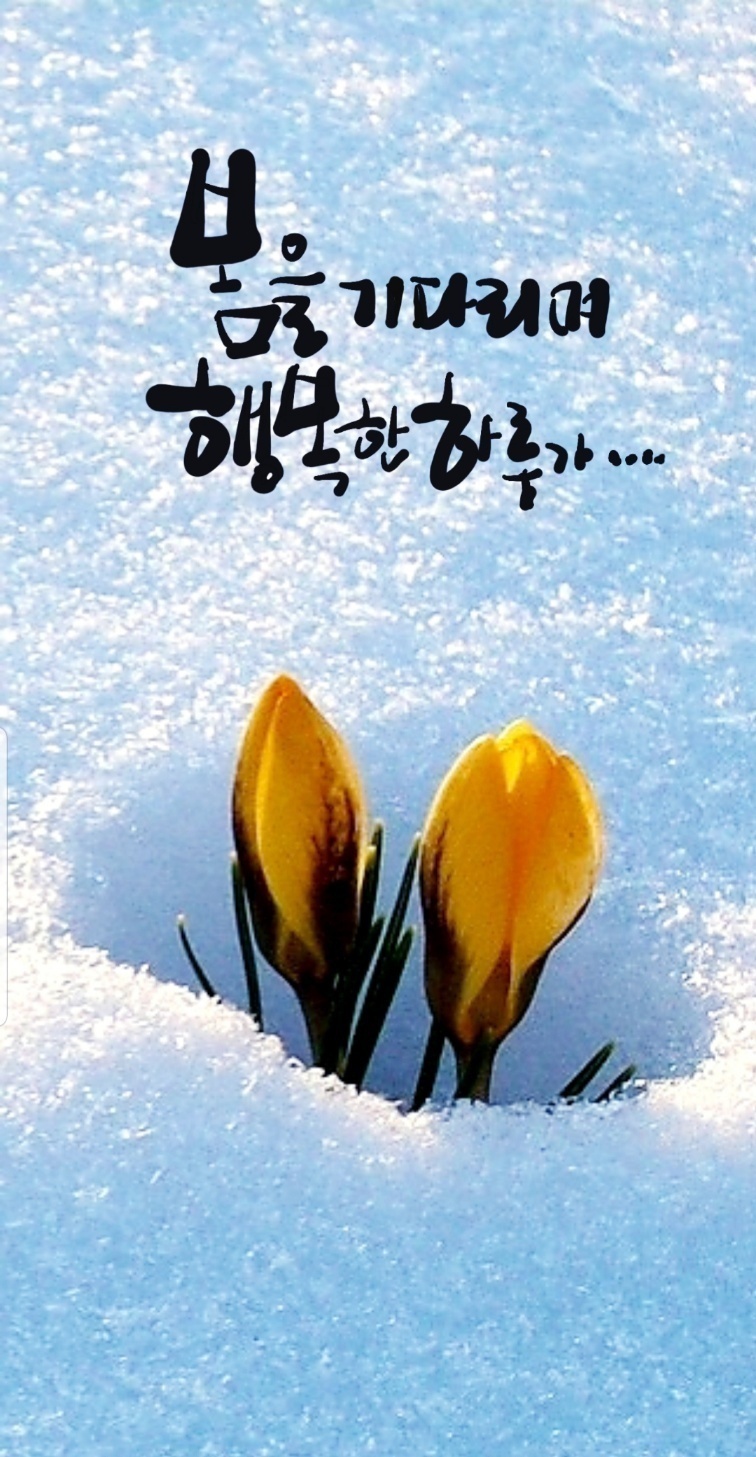 월곶가스 이미지