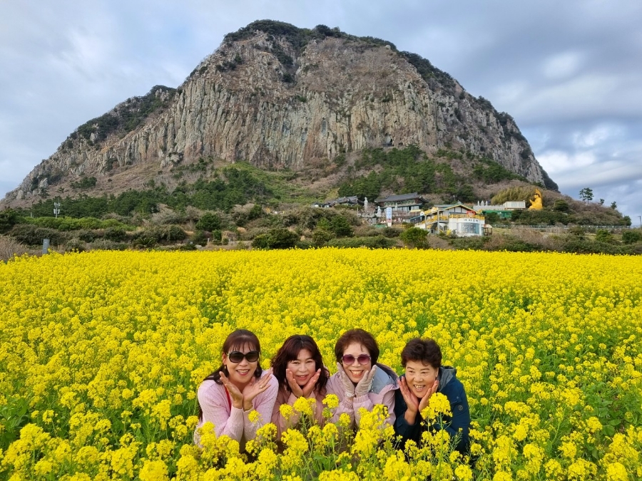 (주)여행가자고 이미지
