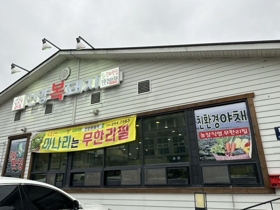 언양 복돼지 이미지