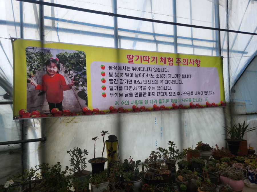 소야농장 이미지