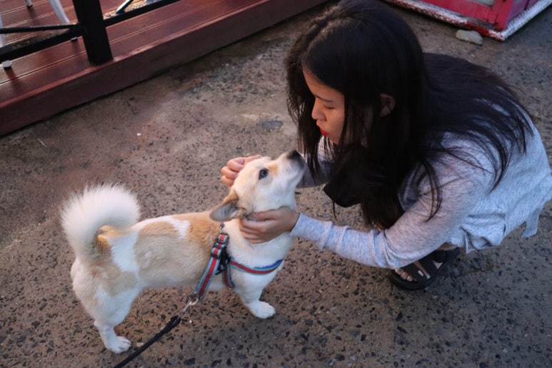 별아라카페 이미지