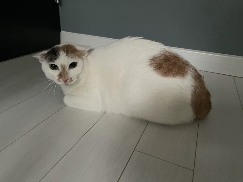 위트러스트커피랩 이미지