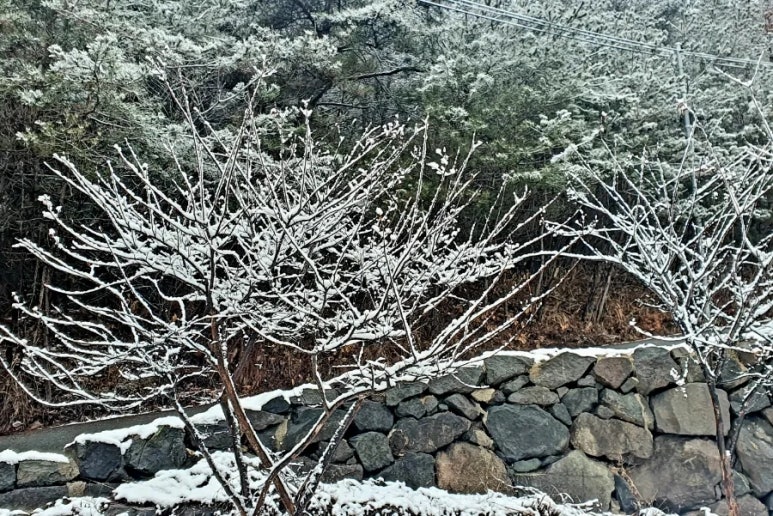 꽃담공방 이미지