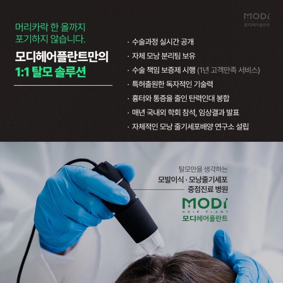 모디헤어 이미지