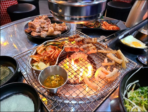 신세계꽃돼지 이미지