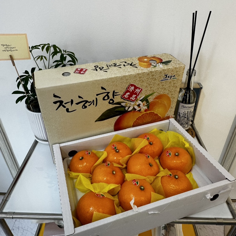 윈썸제이 이미지