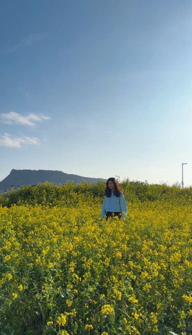 유채공방 이미지