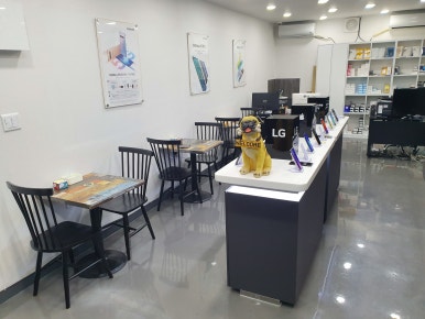 폰지기 이미지
