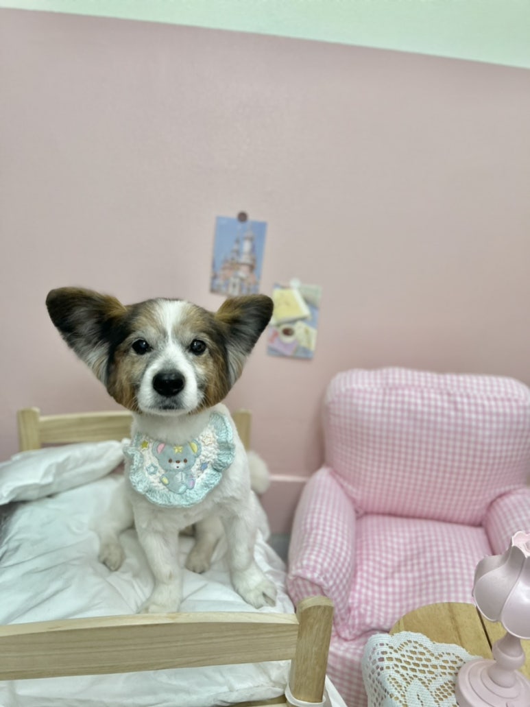 애경미용실 이미지