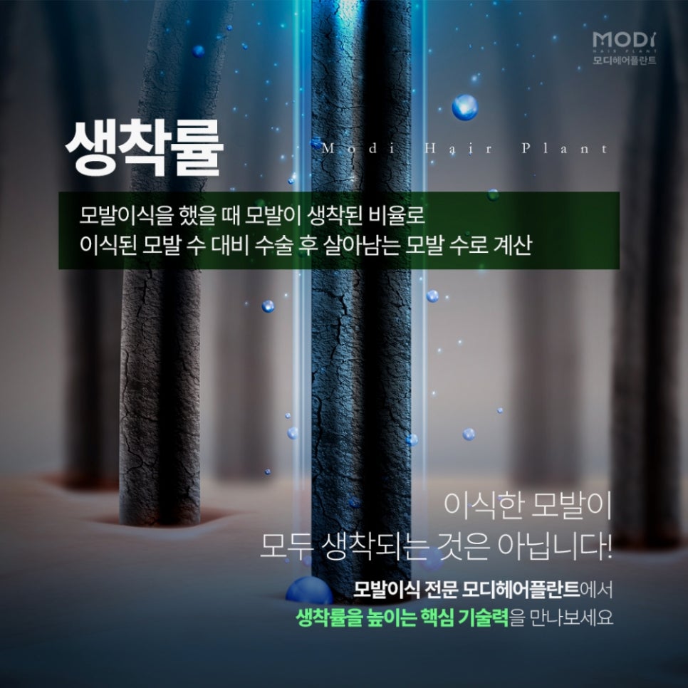 모디헤어 이미지