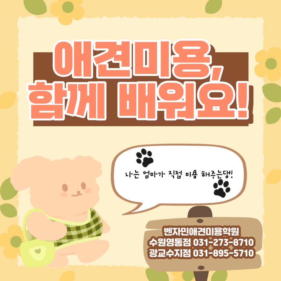 벤자민펫미용학원 이미지