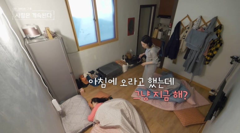 얄미운여우 이미지