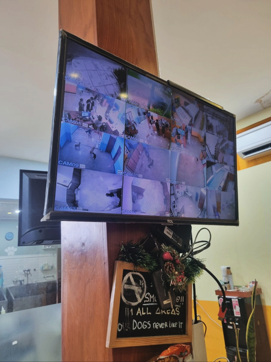 샬롬CCTV 이미지