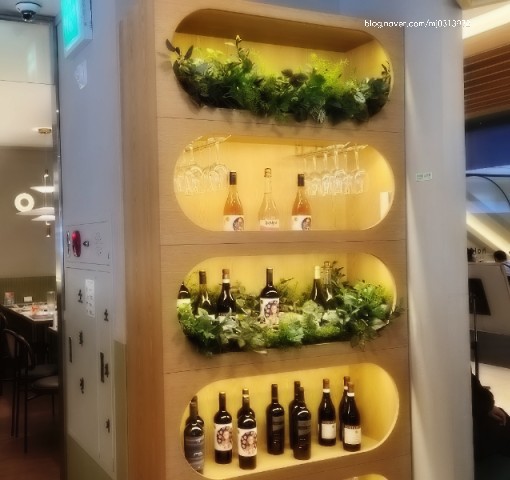 로빈생활 이미지