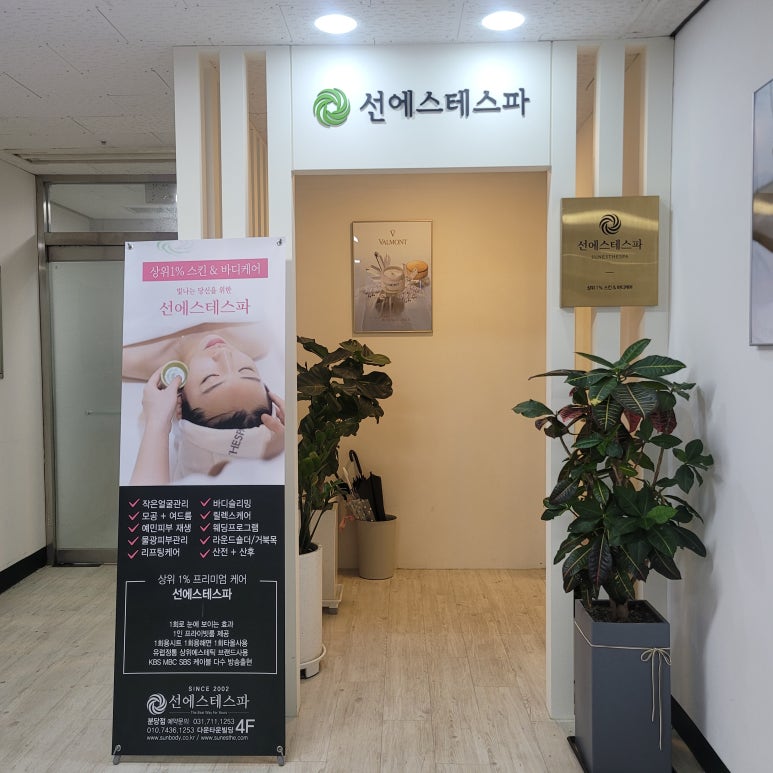 선에스테스파 이미지