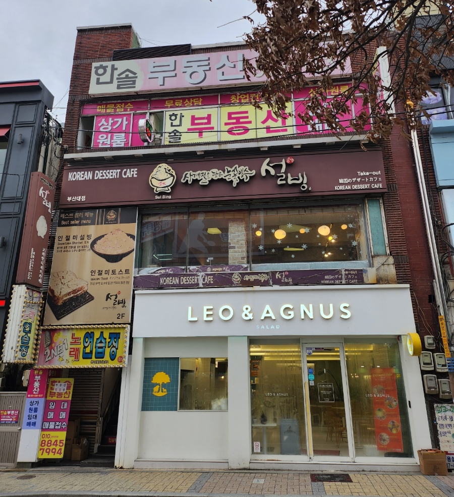레오앤아그너스 이미지