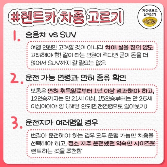 카체크 이미지
