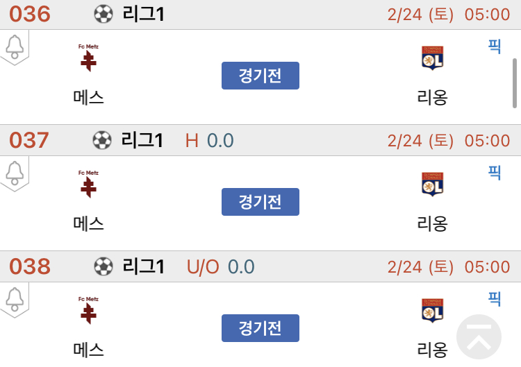 경기피닉스 이미지