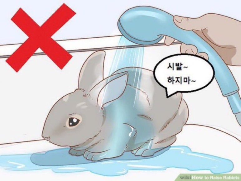 제코 이미지
