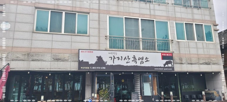소담흑염소 이미지
