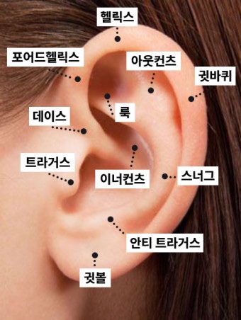 쏘리맘 이미지