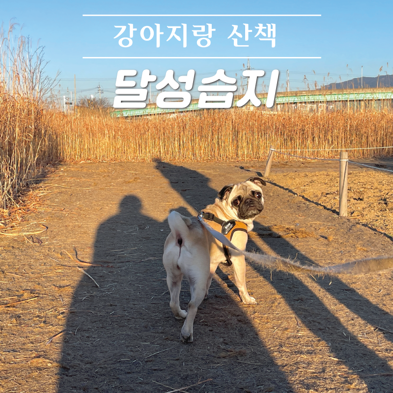 (주)진주랑 이미지