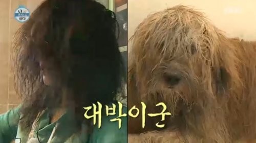헤어큐 이미지