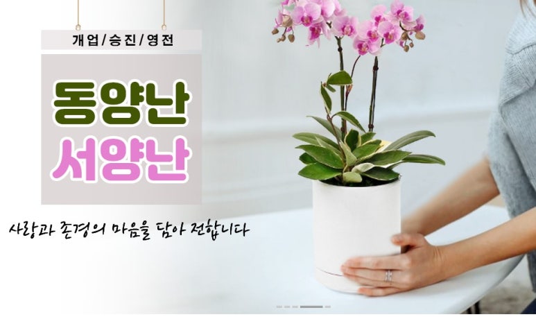 한다발플라워 이미지