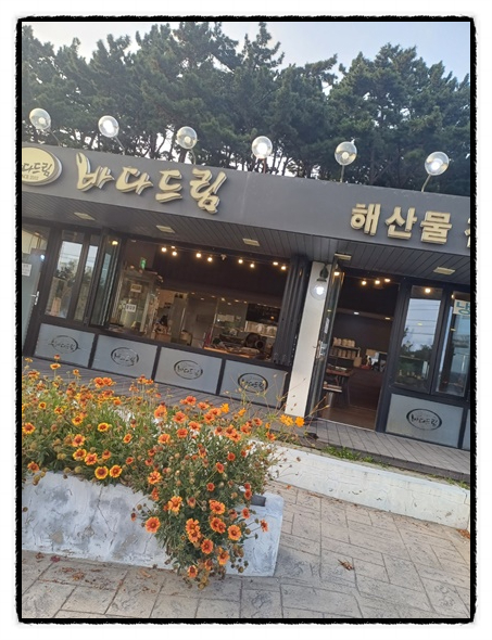 바다드림 이미지