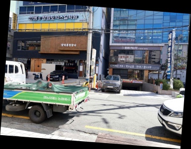 주 세계장어 이미지