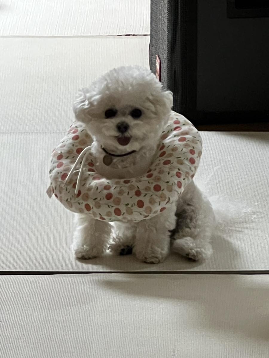 두리컴 이미지