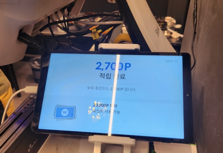 육쥽돼지 이미지