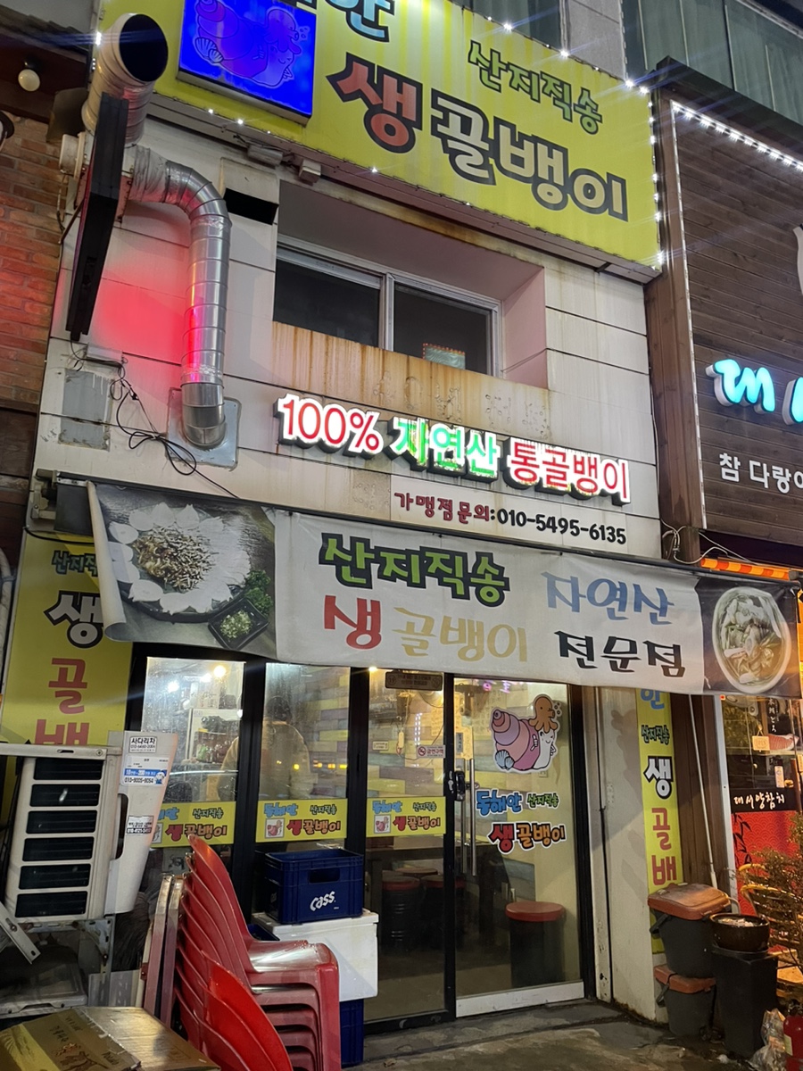 동해안생골뱅이 이미지