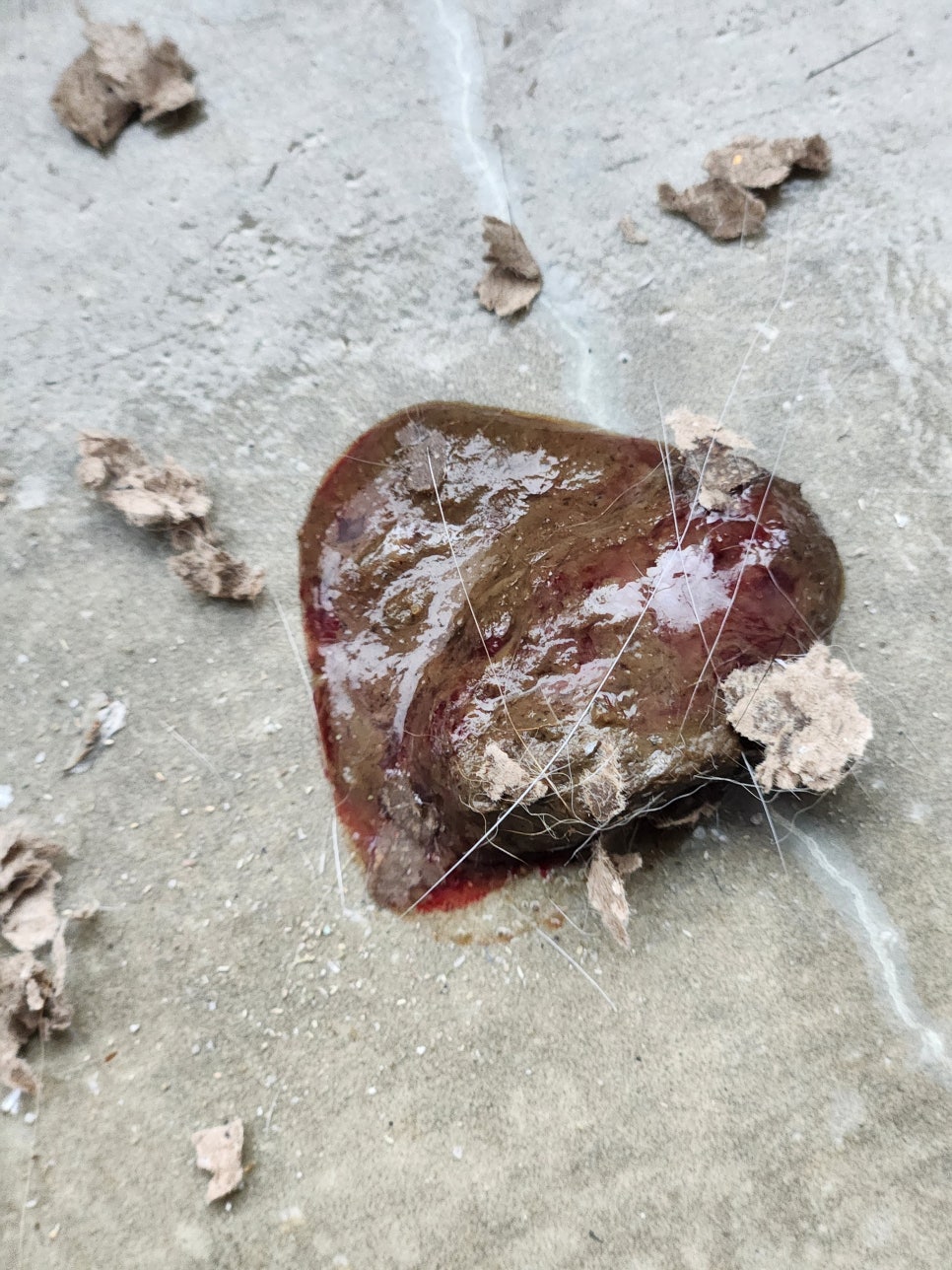 장항다해묵은지 이미지