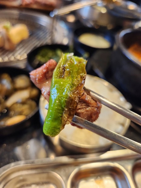 제주탐돈 이미지