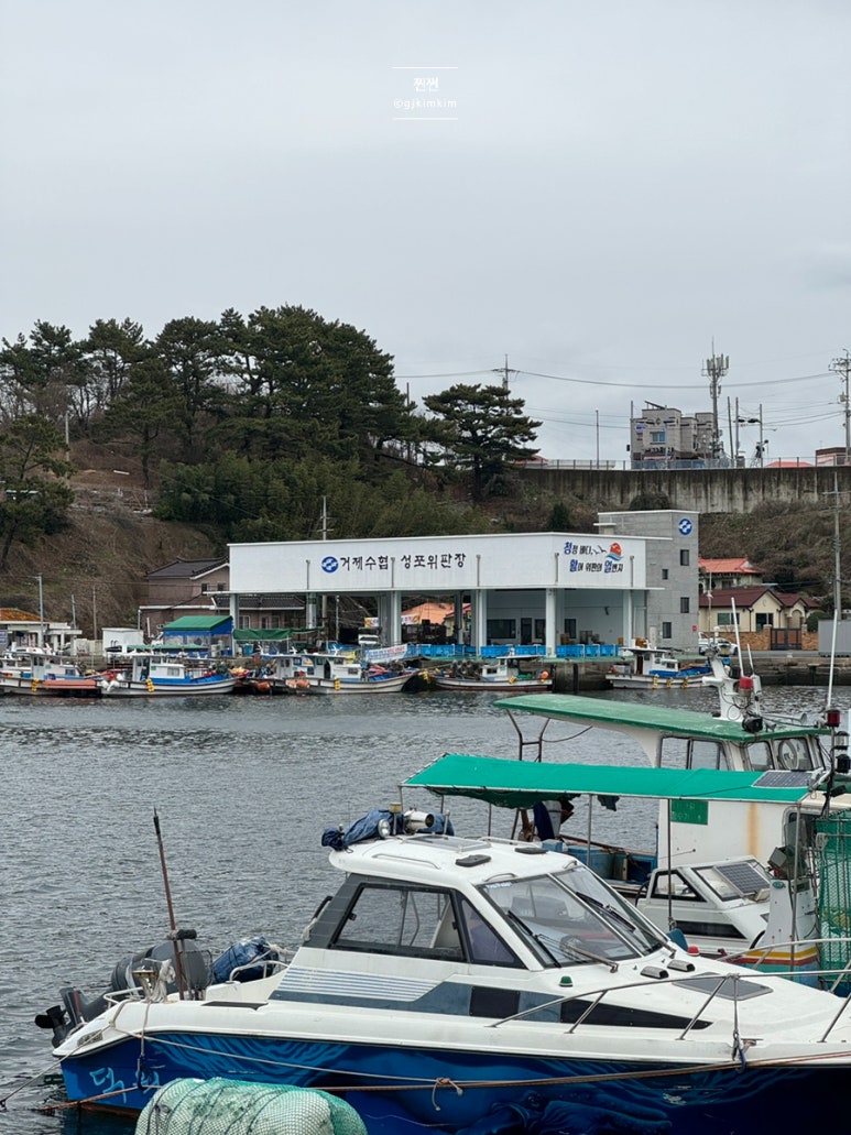 위판장식당 이미지