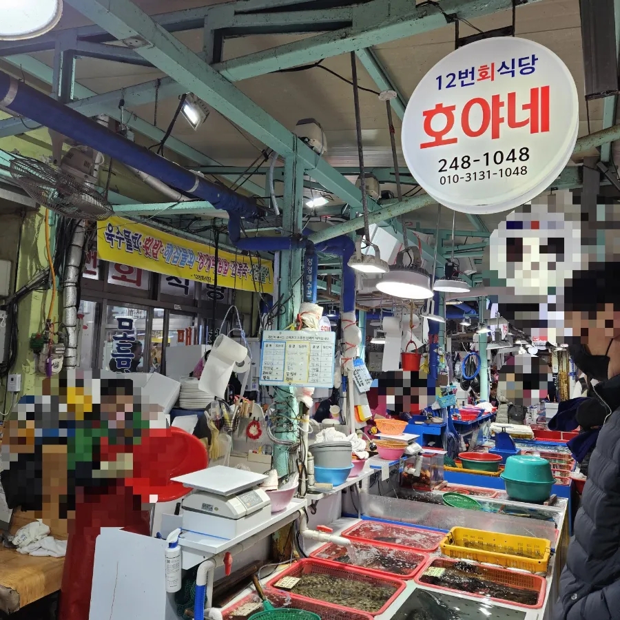 호야네과메기 이미지