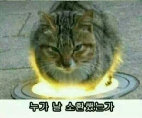 유신족발 이미지