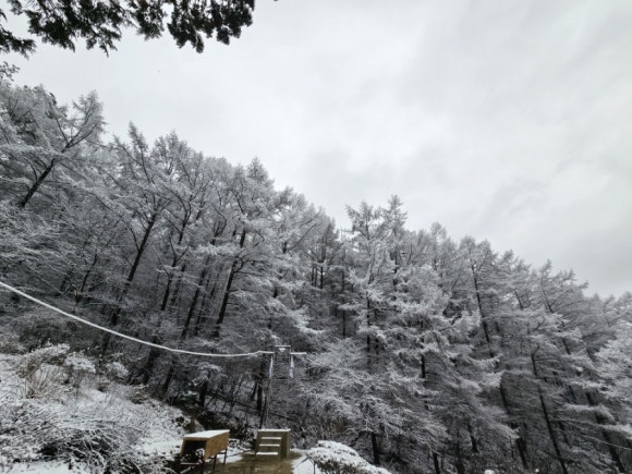삼신사 이미지