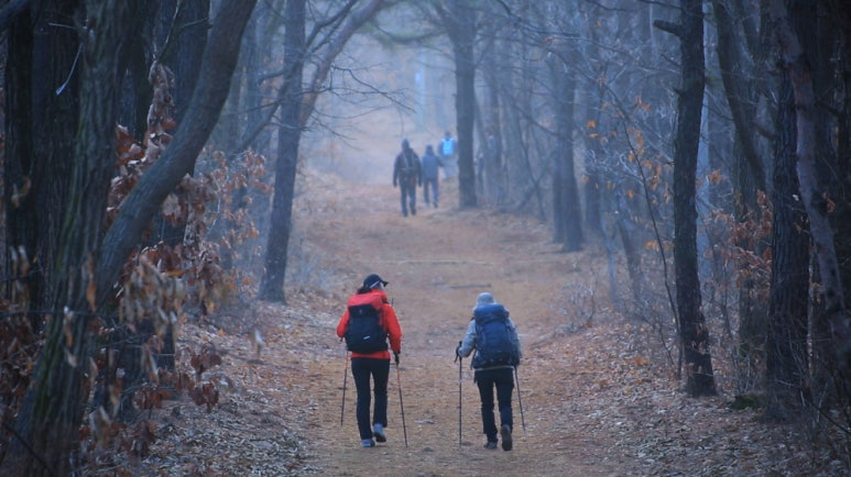 검단산 정상 전망 2 이미지