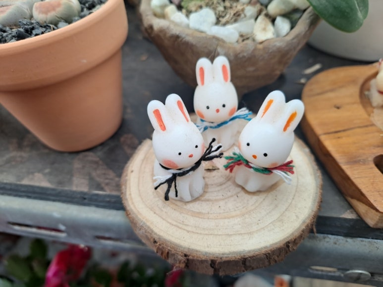초록나라식물원 이미지
